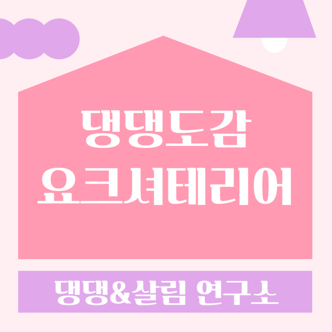 소형견 요크셔테리어