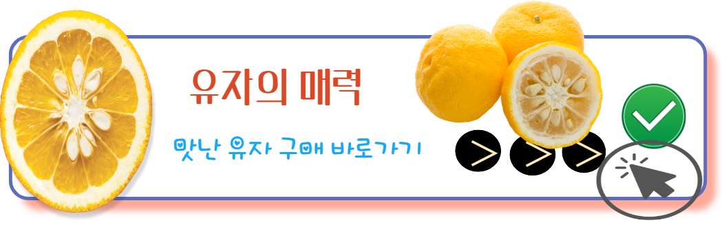 유자의 매력 구매하기