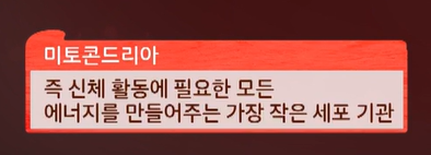 코엔자임q10