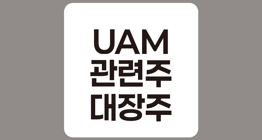UAM 관련주 심층 분석, 대장주 및 주요 기업 정보