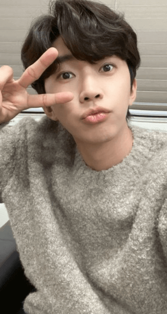 임영웅 갤러리 팬카페 인스타 콘서트