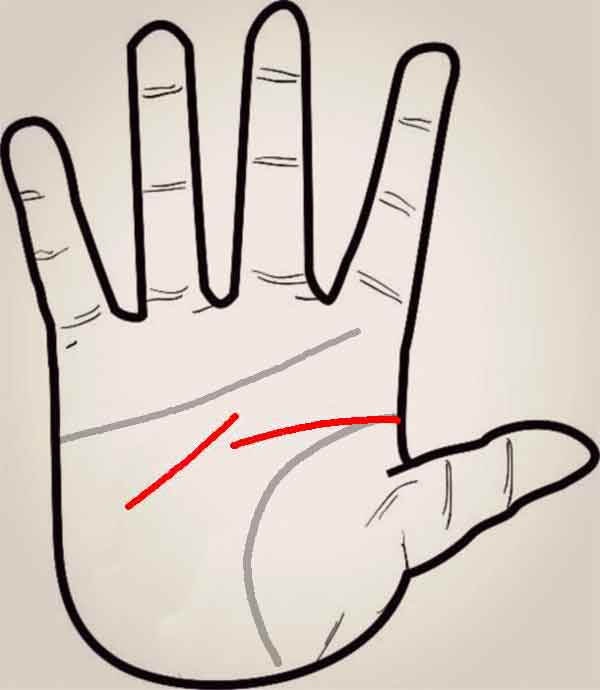 공부 잘하는 손금