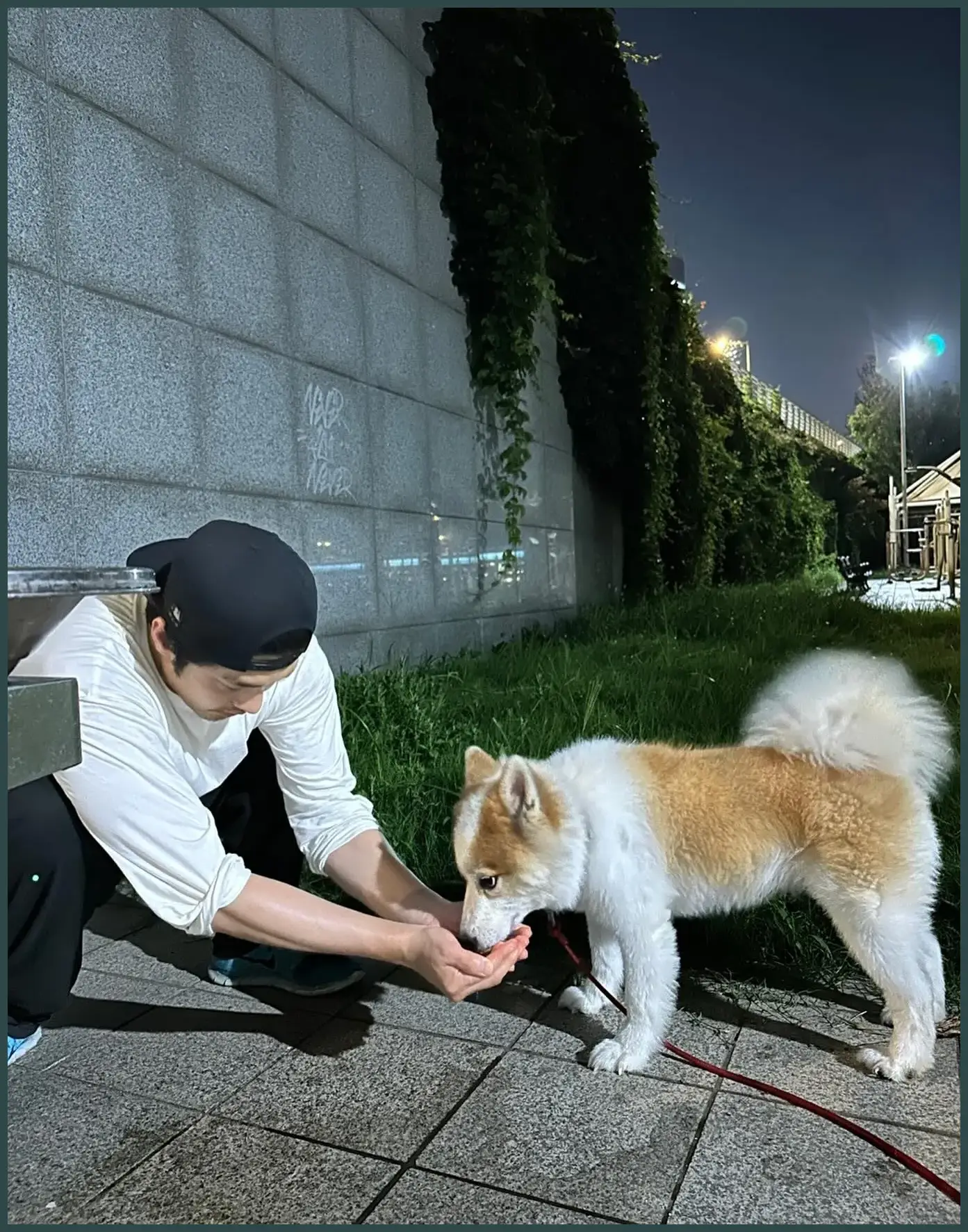 성훈 나이 프로필: 키 몸무게 열애 결혼 가족 학력 고향