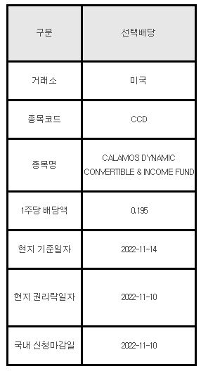 미국주식 선택배당 안내 CCD