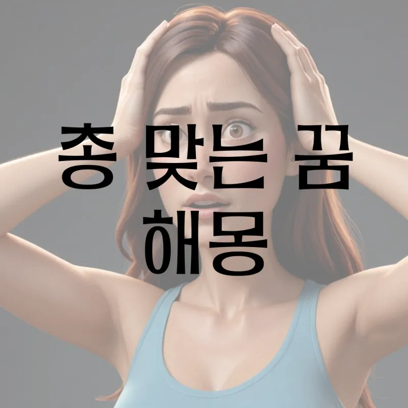 총맞는걸 본 꿈 다른 사람이 총에 맞아 죽는 꿈 사람들이 총맞아 죽는 꿈 해몽 풀이집_7