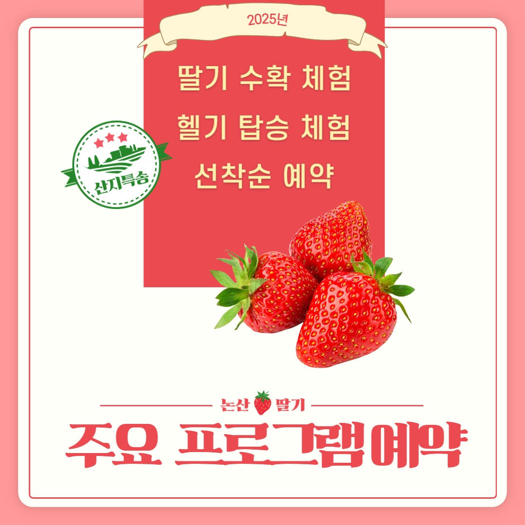 2025 논산딸기축제 주요 프로그램 예약