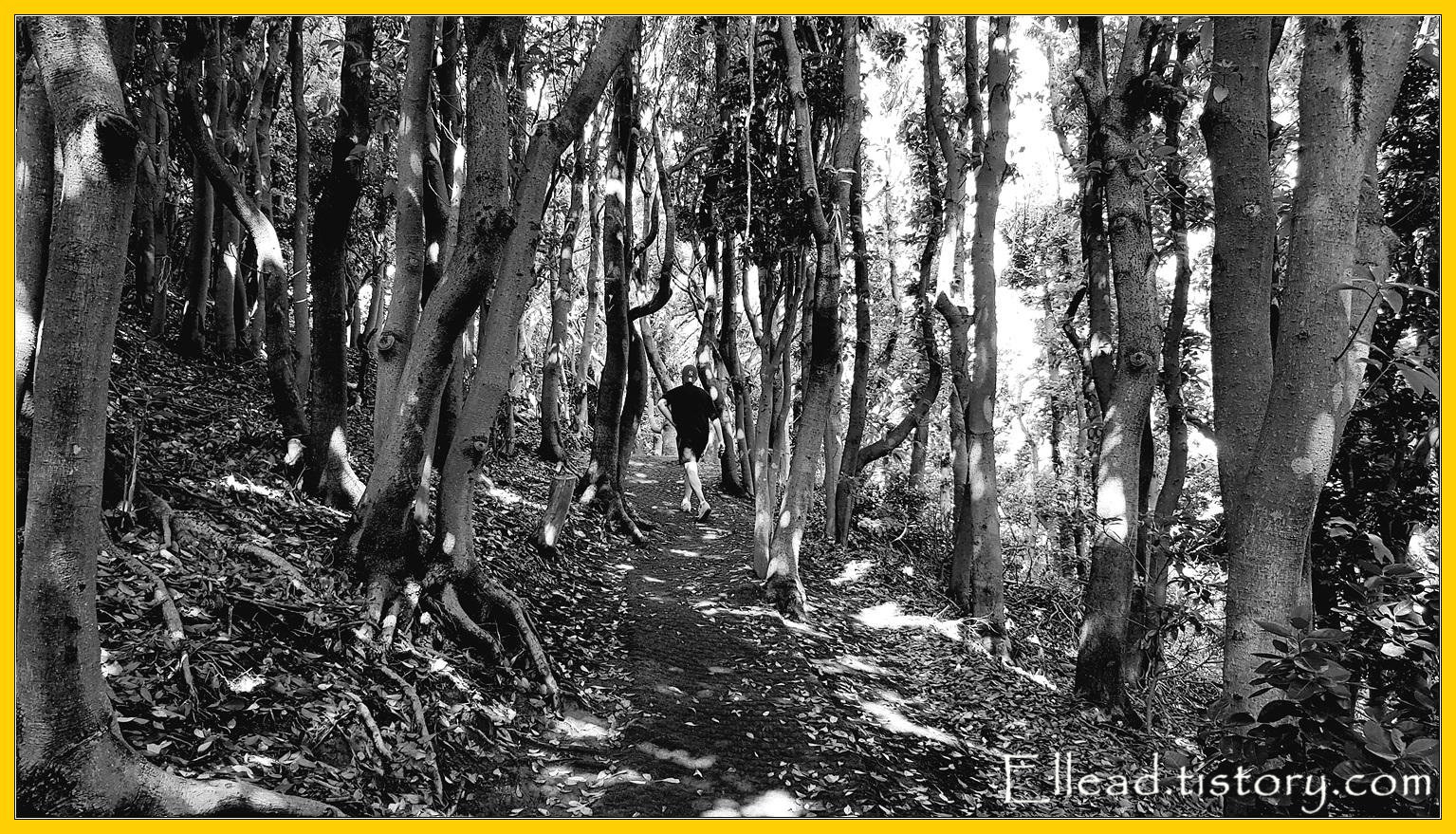 호젓한 산길이다.