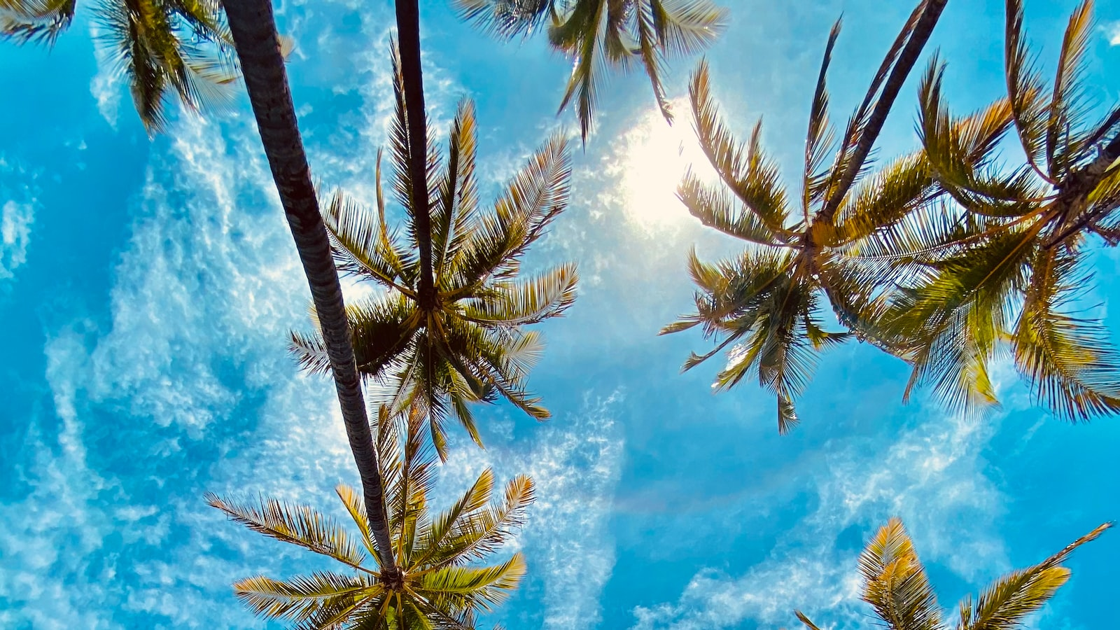 무더운 여름날 햇빛은 악마와 같다