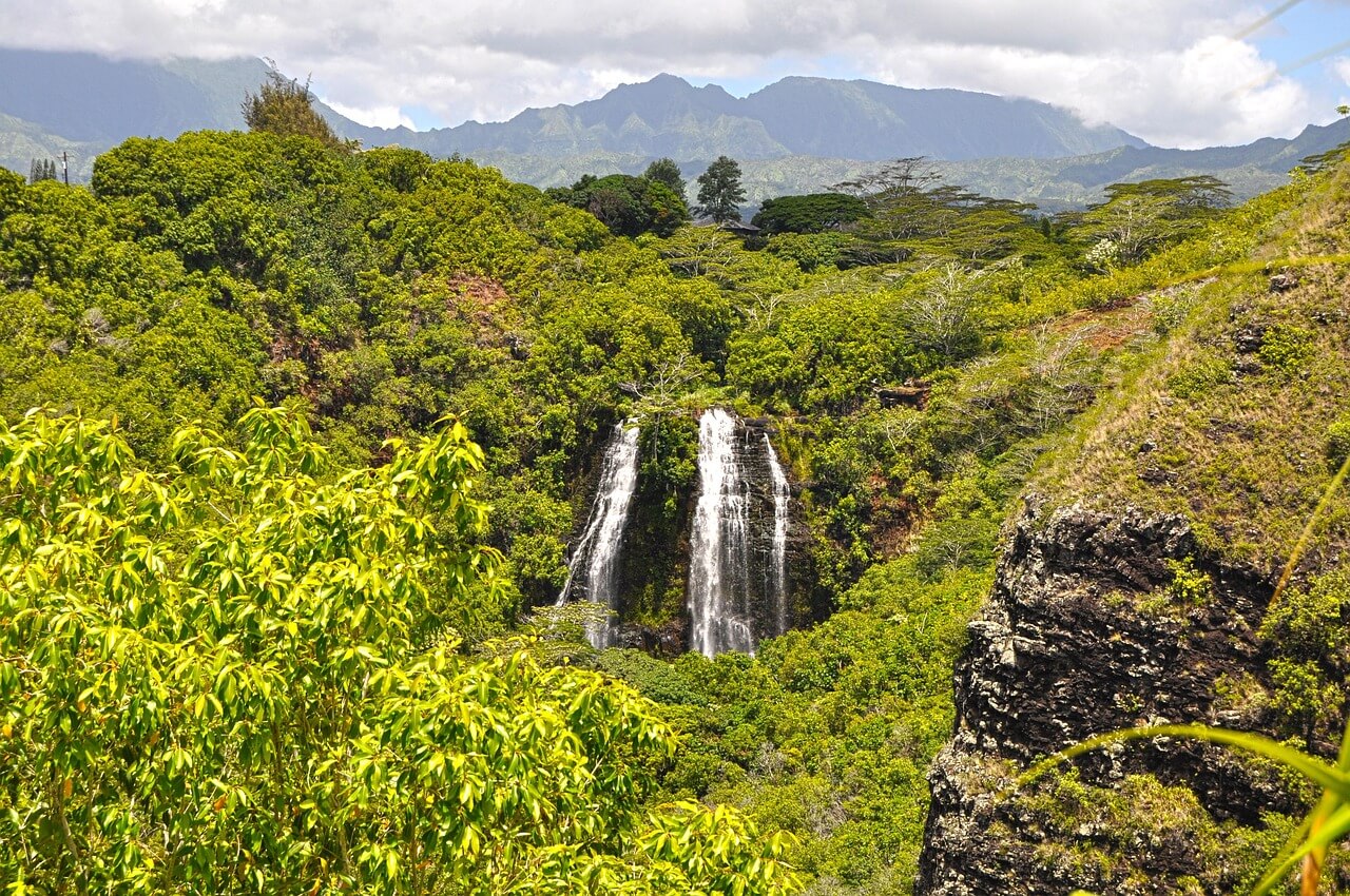하와이 호놀룰루 미술관
