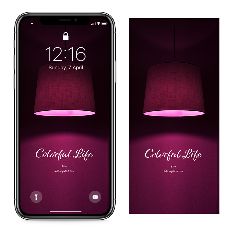 11 자주색 전등 C - Colorful Life 자주색배경화면