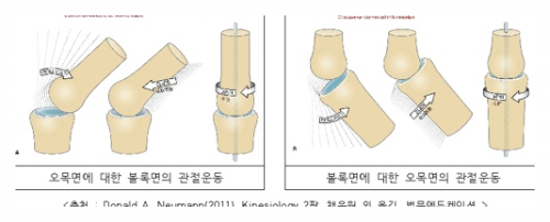 생리학적 움직임