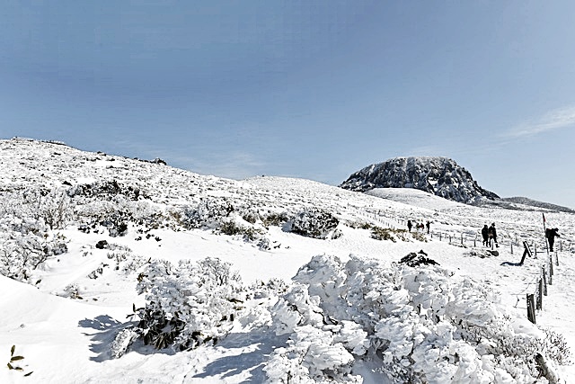 한라산 탐방 예약 방법