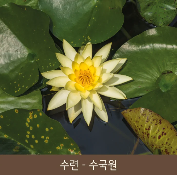 화담숲 예약&amp;#44; 가을 단풍축제 