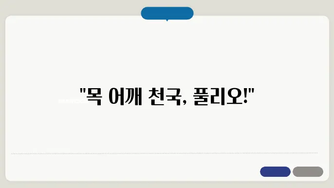 풀리오 목 어깨 베개 9c8사지기 내돈내산 후기 사용법 효과 소개