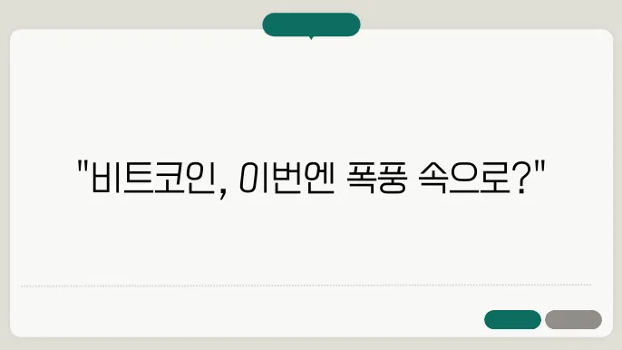 미국 비트코인시세 전망및 알트코인의 안전성은