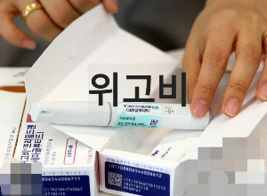 위고비 가격 효과 부작용 주사 ft.머스크로 인해 유명해짐