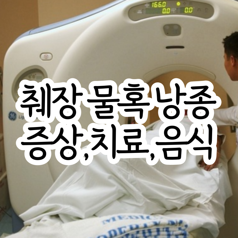 췌장 물혹 혹 낭종 증상, 검사방법 및 좋은 음식