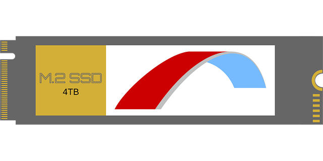 SSD 사진