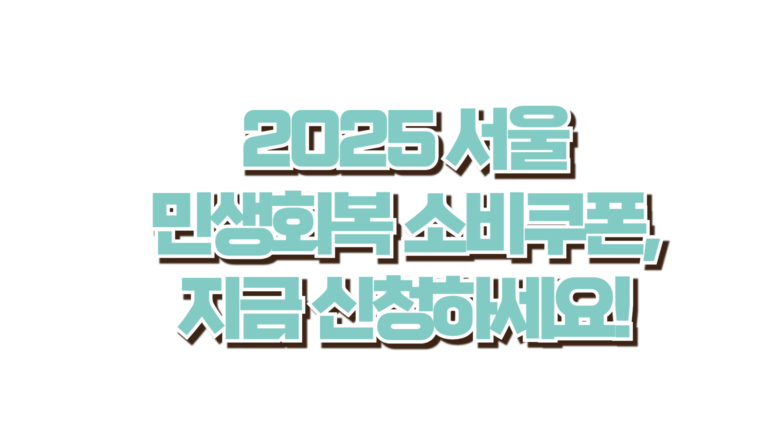 2025 서울 민생회복 소비쿠폰 총정리! 사진
