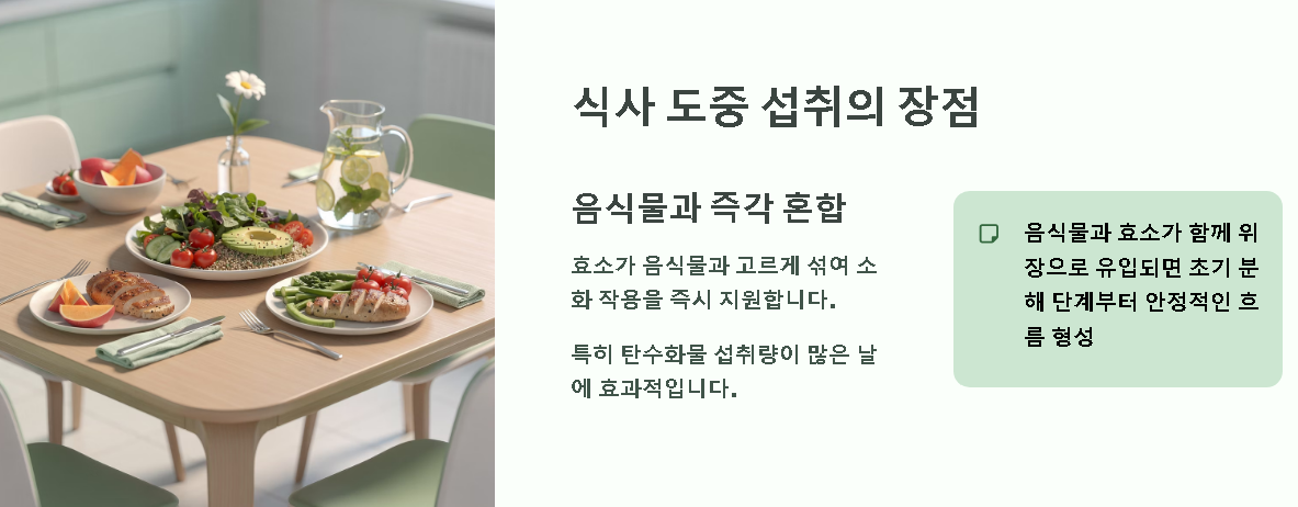 카무트 효소 먹는 시간