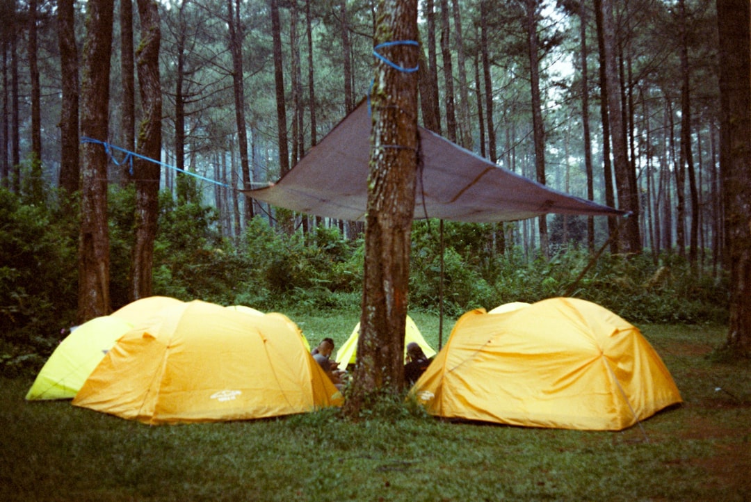 Camping gear