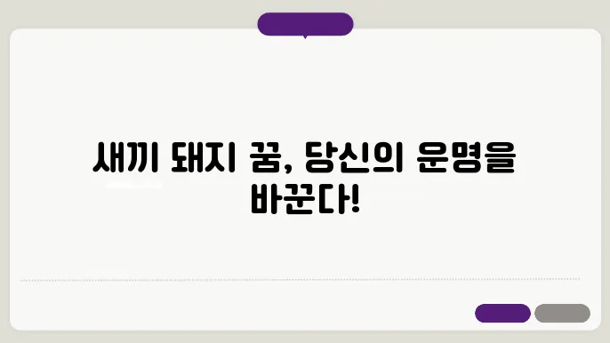 새끼 돼지 꿈해몽