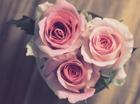 관계를 살린 소비 - 친구와의 기념일에 쓴 돈