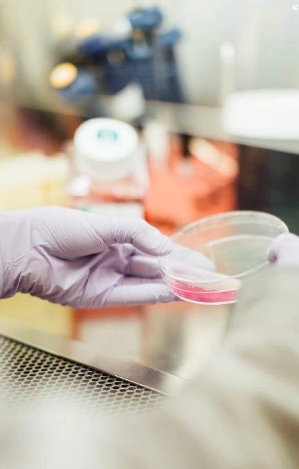 네이처셀 알바이오 기업개요