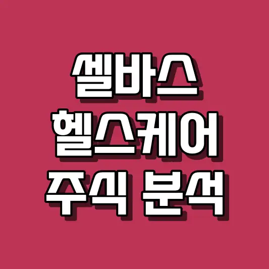 셀바스헬스케어 주식 분석