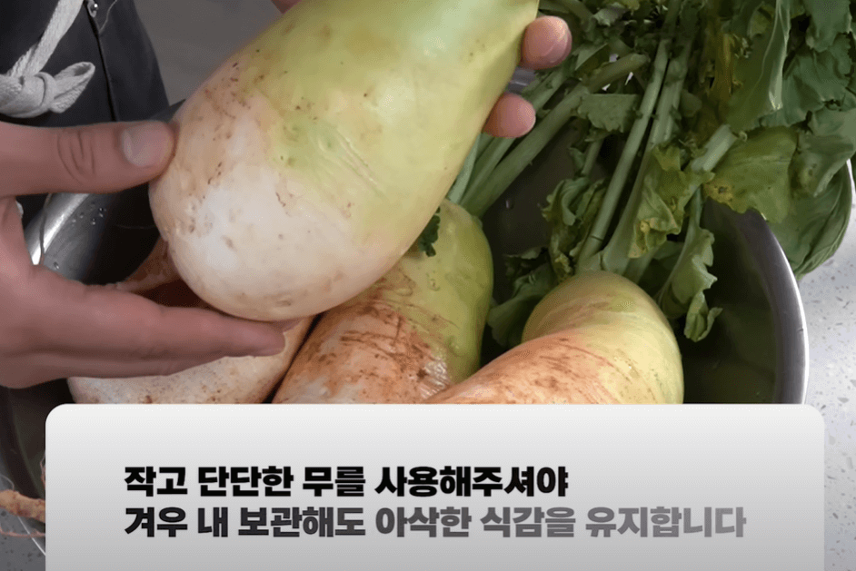작고 단단한 무 사용