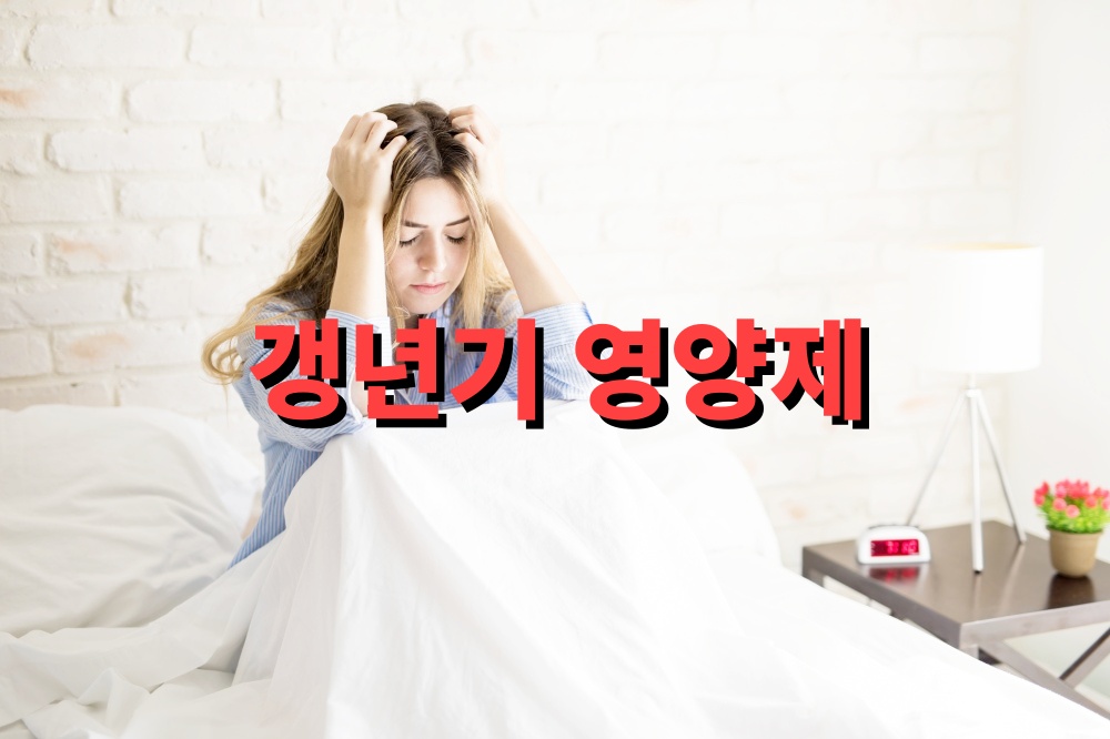 갱년기 영양제 비교 여성건강 수면