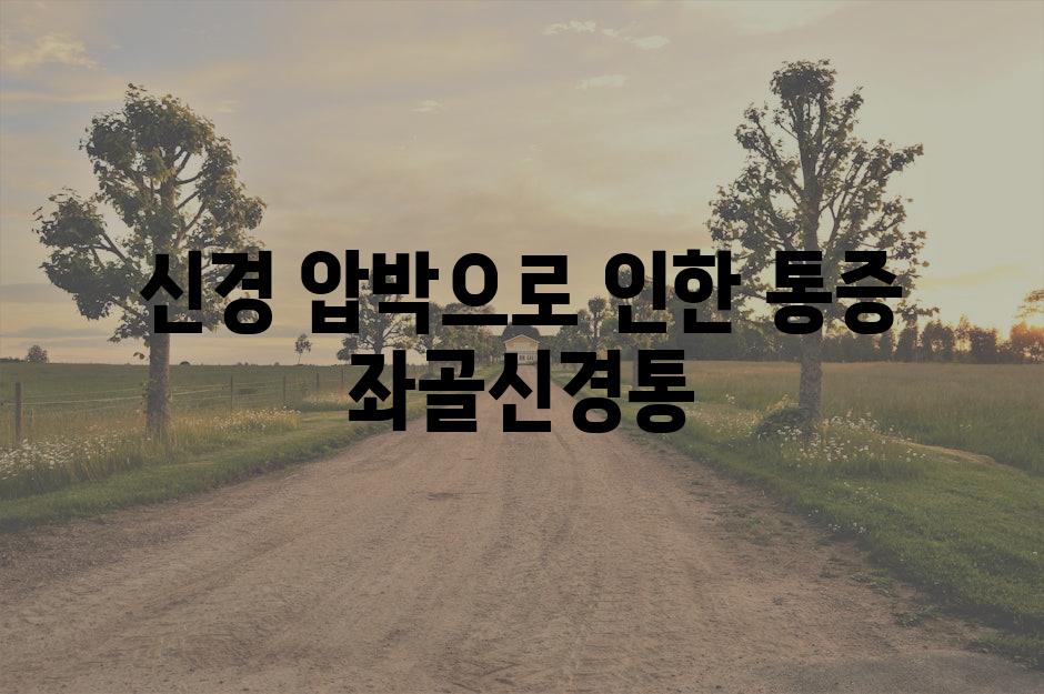 신경 압박으로 인한 통증 좌골신경통