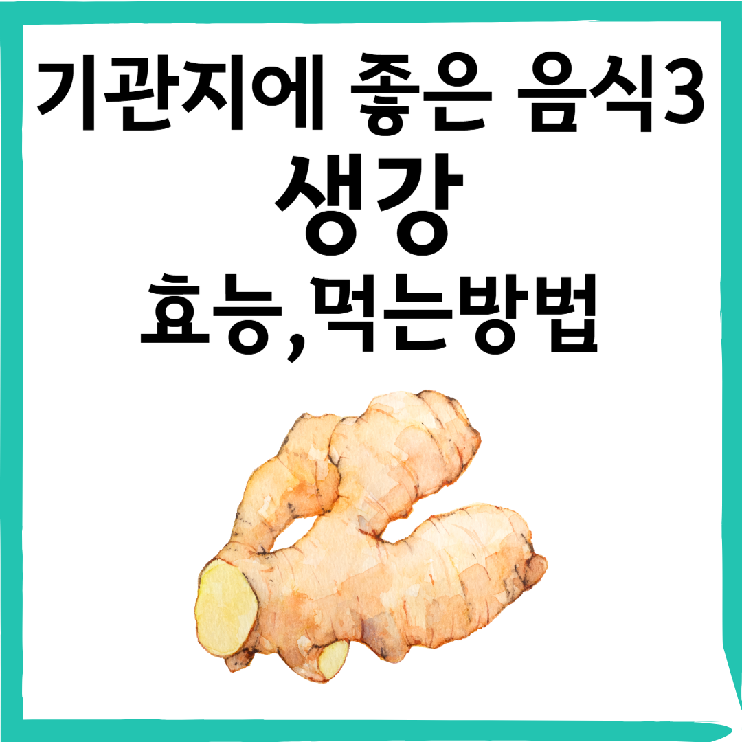 생강(生薑): 강력한 항염 효과를 가진 자연 건강 식품