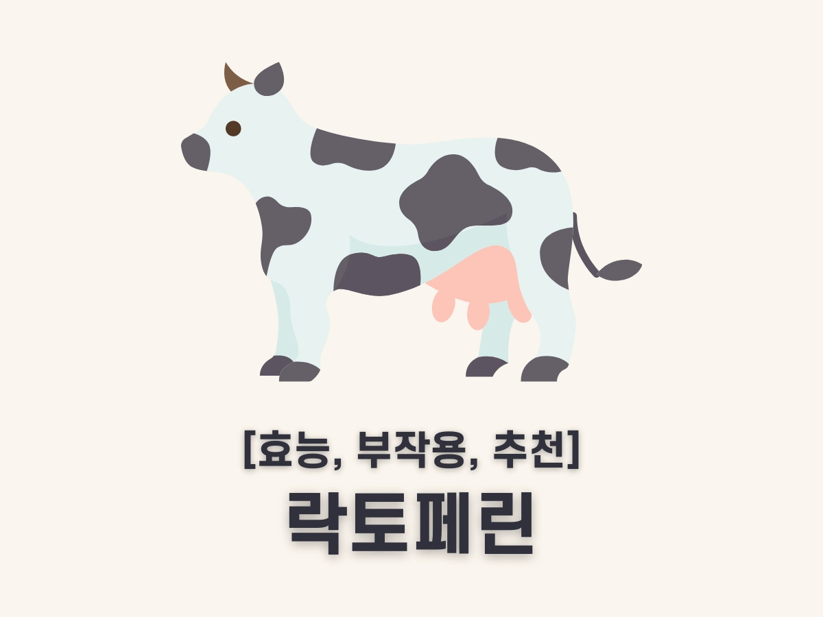 락토페린 효능 부작용 추천