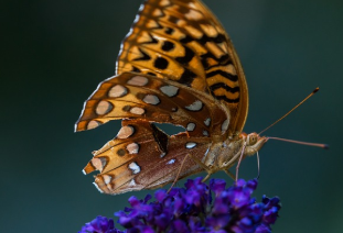 건강한 습관을 만드는 40가지 트리즈 발명 원리