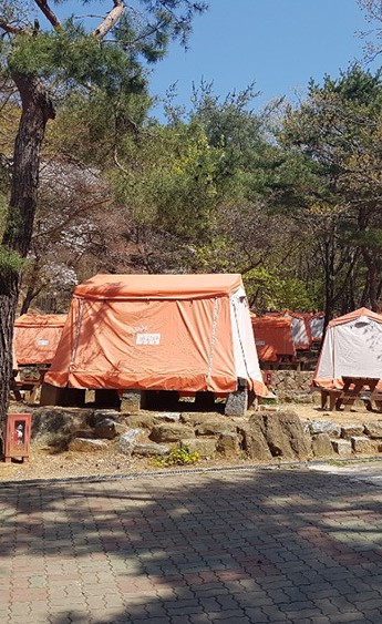 서울대공원 캠핑장