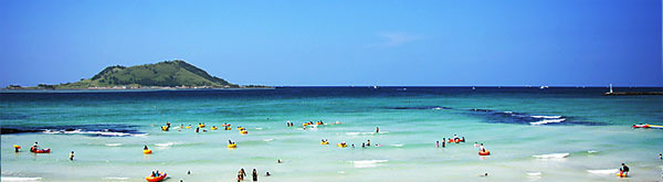 🎥 넷플릭스 인기 중인