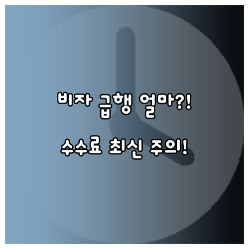 처리 속도별 중국 비자 서비스 수수료..