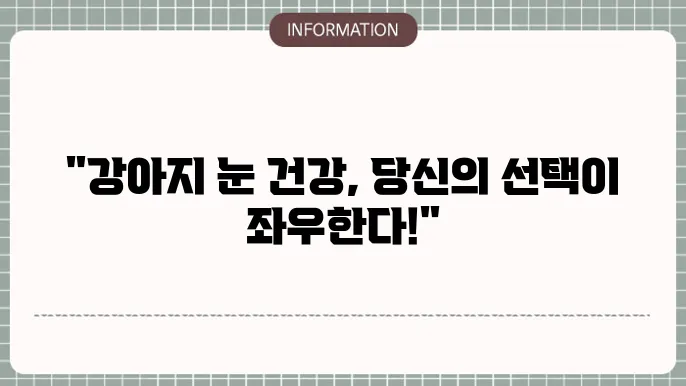 강아지 백내장 검사: