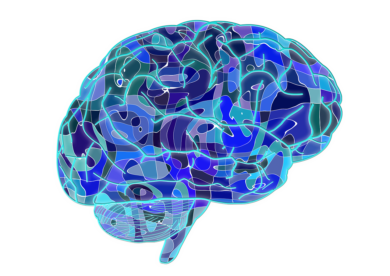 집중력과 기억력을 높이는 필수 영양소 및 보충제 추천