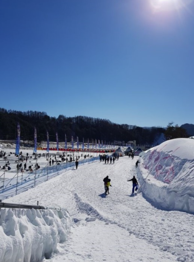 평창송어축제-비용