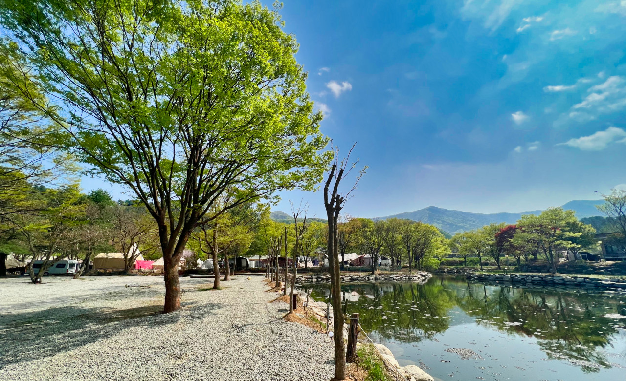 유명산밸리캠핑장