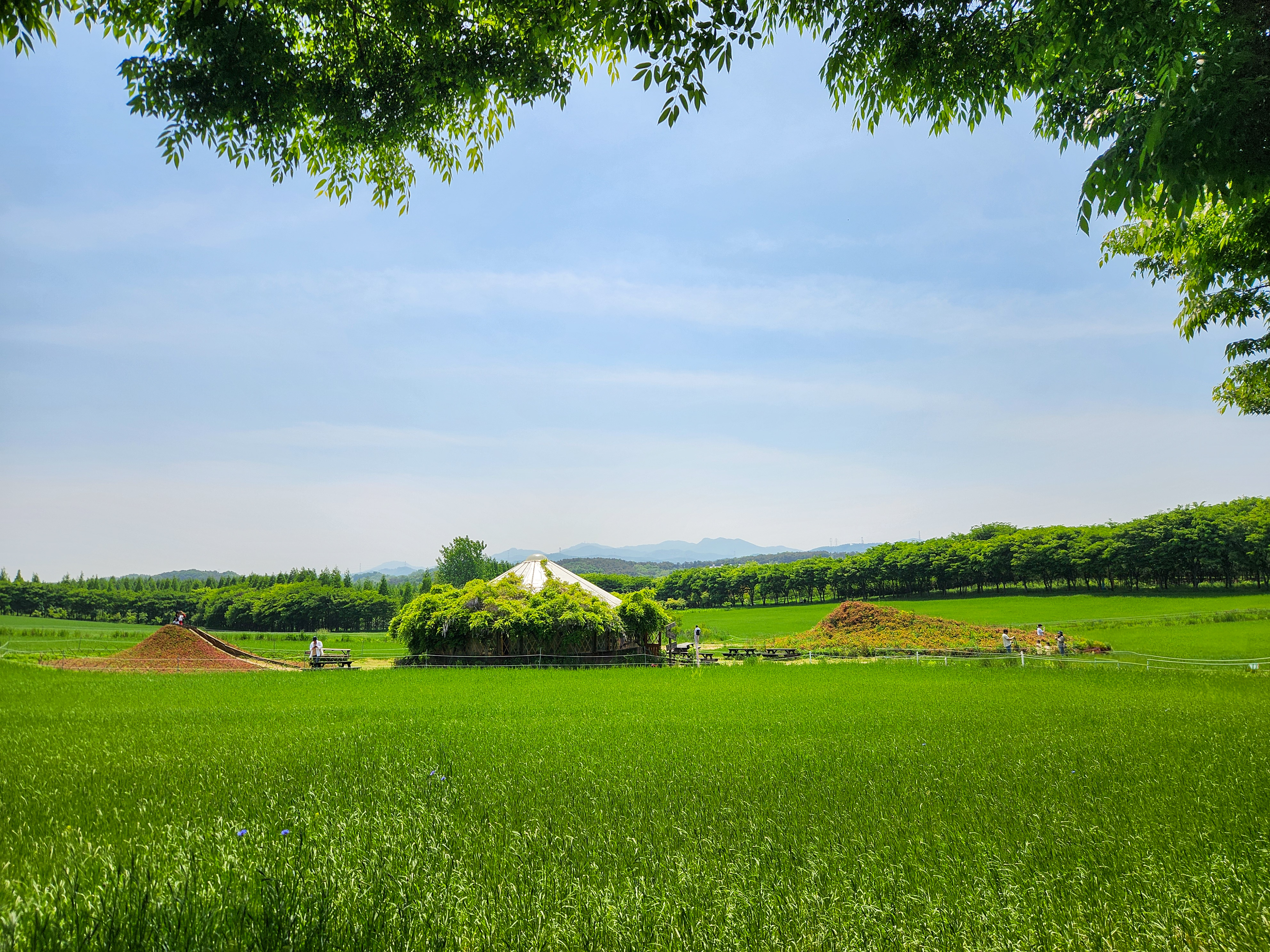 당진 아그로랜드 방문 후기 – 아이와 함께 주말 나들이로 딱 좋은 곳!