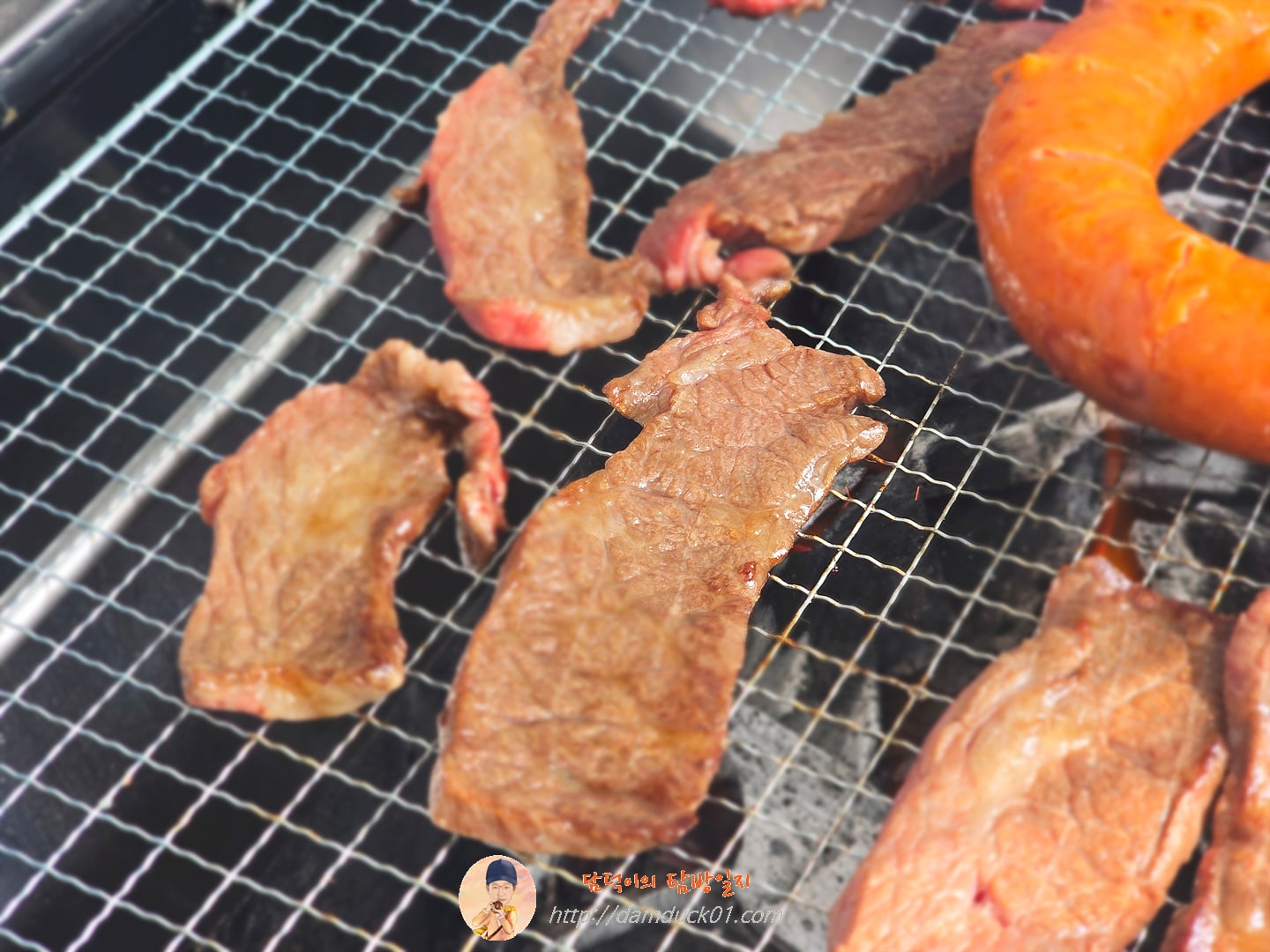 바베큐캠프닉868.3