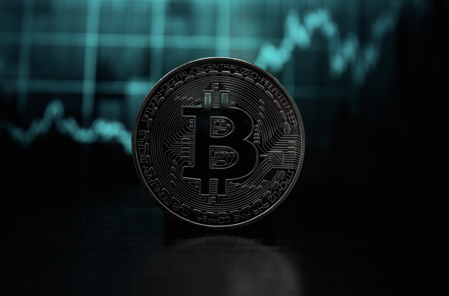 하락장은 그렇게 갑자기 왔다 — 한순간에 무너진 차트와 마음