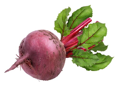 비트 부작용 및 주의사항