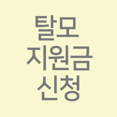 탈모 지원금 신청