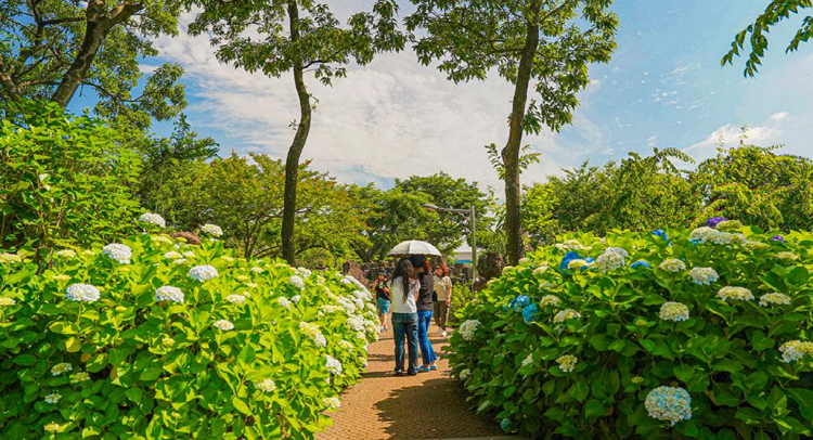 제주 송당동화마을