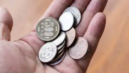 다양한 일본 동전