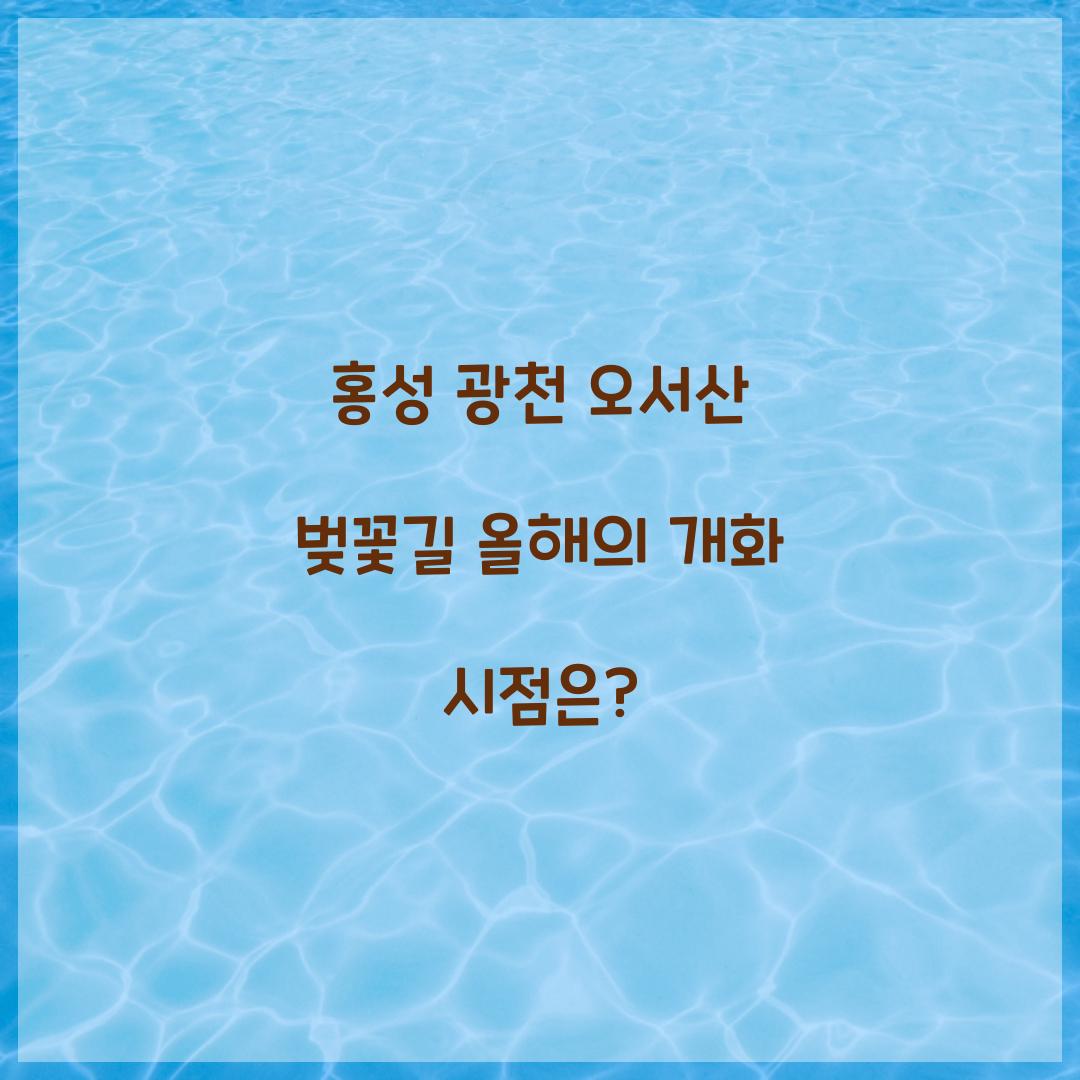 홍성 광천 오서산 벚꽃길
